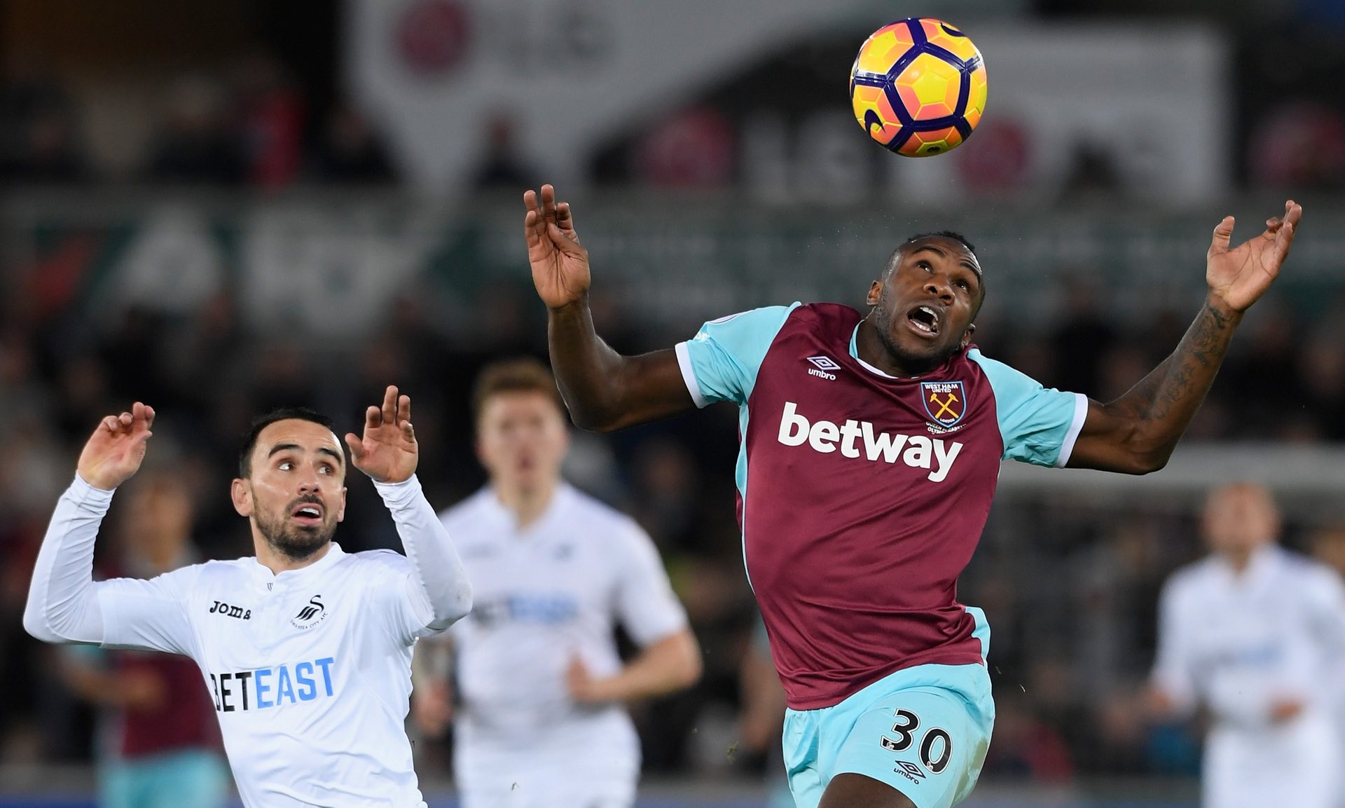 也别忘了从 也别忘了从